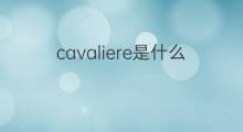 cavaliere是什么意思 cavaliere的中文翻译、读音、例句