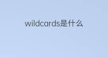 wildcards是什么意思 wildcards的中文翻译、读音、例句