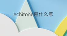 echitone是什么意思 echitone的中文翻译、读音、例句