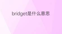 bridget是什么意思 bridget的中文翻译、读音、例句