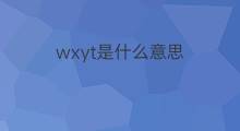 wxyt是什么意思 wxyt的中文翻译、读音、例句