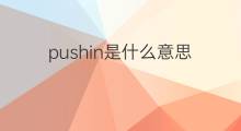 pushin是什么意思 pushin的中文翻译、读音、例句