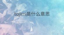 tajimi是什么意思 tajimi的中文翻译、读音、例句