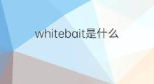 whitebait是什么意思 whitebait的中文翻译、读音、例句