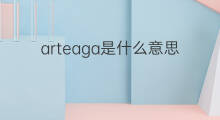 arteaga是什么意思 arteaga的中文翻译、读音、例句