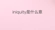 iniquity是什么意思 iniquity的中文翻译、读音、例句