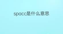 spacc是什么意思 spacc的中文翻译、读音、例句