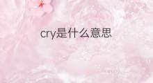 cry是什么意思 cry的中文翻译、读音、例句
