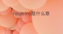 neutrino是什么意思 neutrino的中文翻译、读音、例句