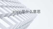 znpp是什么意思 znpp的中文翻译、读音、例句