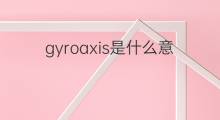 gyroaxis是什么意思 gyroaxis的中文翻译、读音、例句