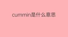 cummin是什么意思 cummin的中文翻译、读音、例句