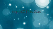 ccmp是什么意思 ccmp的中文翻译、读音、例句