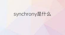 synchrony是什么意思 synchrony的中文翻译、读音、例句