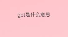 gpt是什么意思 gpt的中文翻译、读音、例句