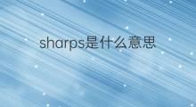 sharps是什么意思 sharps的中文翻译、读音、例句