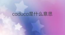 caduca是什么意思 caduca的中文翻译、读音、例句