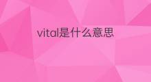vital是什么意思 vital的中文翻译、读音、例句
