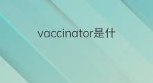 vaccinator是什么意思 vaccinator的中文翻译、读音、例句
