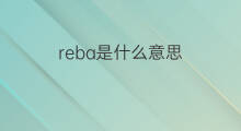 reba是什么意思 reba的中文翻译、读音、例句