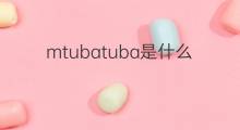 mtubatuba是什么意思 mtubatuba的中文翻译、读音、例句