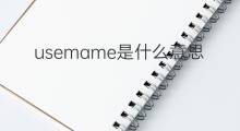 usemame是什么意思 usemame的中文翻译、读音、例句