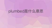 plumbed是什么意思 plumbed的中文翻译、读音、例句