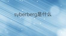 syberberg是什么意思 syberberg的中文翻译、读音、例句