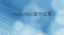 munchkin是什么意思 munchkin的中文翻译、读音、例句