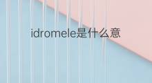 idromele是什么意思 idromele的中文翻译、读音、例句