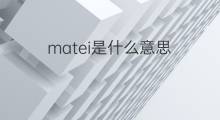 matei是什么意思 matei的中文翻译、读音、例句