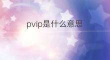 pvip是什么意思 pvip的中文翻译、读音、例句