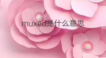 muxed是什么意思 muxed的中文翻译、读音、例句
