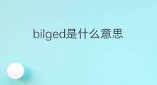 bilged是什么意思 bilged的中文翻译、读音、例句
