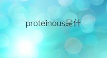 proteinous是什么意思 proteinous的中文翻译、读音、例句