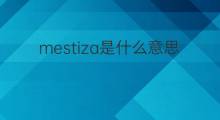 mestiza是什么意思 mestiza的中文翻译、读音、例句