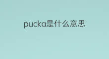 pucka是什么意思 pucka的中文翻译、读音、例句