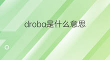 droba是什么意思 droba的中文翻译、读音、例句