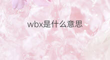 wbx是什么意思 wbx的中文翻译、读音、例句