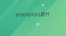 preceptors是什么意思 preceptors的中文翻译、读音、例句