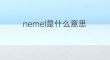nemel是什么意思 nemel的中文翻译、读音、例句