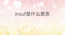insuf是什么意思 insuf的中文翻译、读音、例句