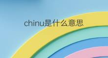 chinu是什么意思 英文名chinu的翻译、发音、来源