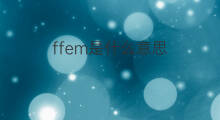 ffem是什么意思 ffem的中文翻译、读音、例句