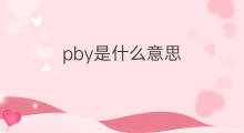 pby是什么意思 pby的中文翻译、读音、例句