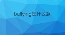 bullying是什么意思 bullying的中文翻译、读音、例句
