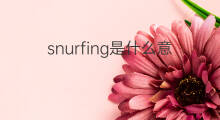 snurfing是什么意思 snurfing的中文翻译、读音、例句