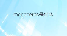megaceros是什么意思 megaceros的中文翻译、读音、例句
