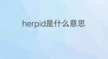 herpid是什么意思 herpid的中文翻译、读音、例句