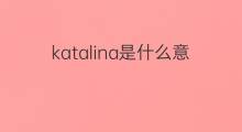 katalina是什么意思 katalina的中文翻译、读音、例句
